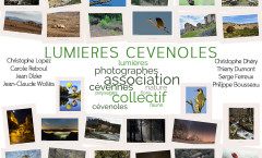 presentation lumcev 20bd cevennes