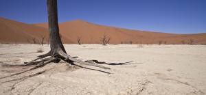 Vallée morte en Namibie