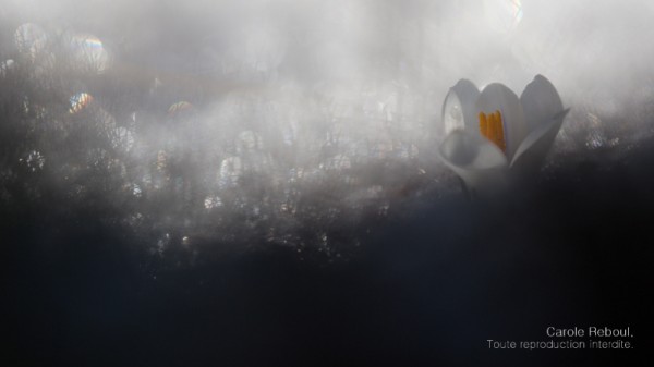 _MG_3078b8