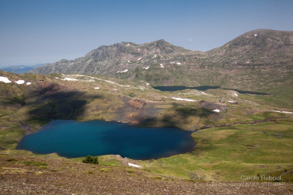 _MG_4180b8