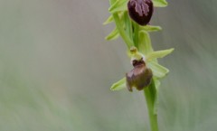NSC_0207_02