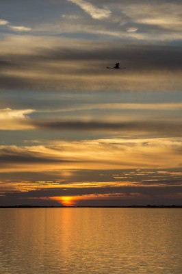 _DSC8786_0198 coucher soleil Camargue