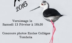 affiche2016bd