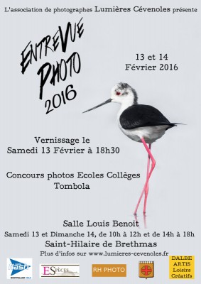 affiche2016bd