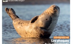 natimages carole reboul il était une fois la nuit