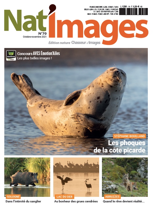 natimages carole reboul il était une fois la nuit