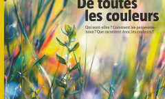 la salamandre carole reboul