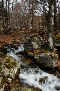 Les Bouzèdes