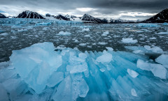 Spitzberg de l'archipel du Svalbard. Terre de glaces accueillant une faune extraordinaire