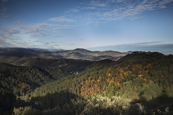 Paysage d'automne