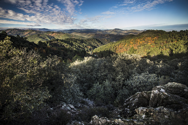 Paysages d'automne (1)