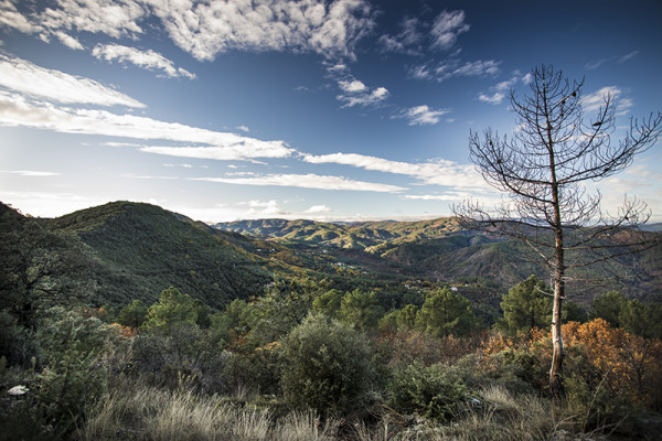 Paysages d'automne (4)