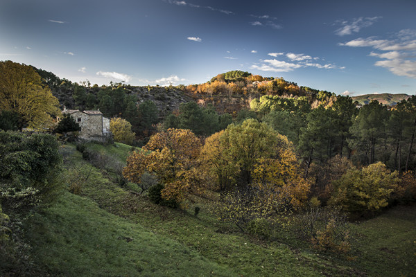 Paysages d'automne (6)