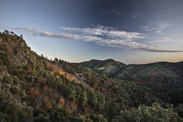 Paysages d'automne (8)