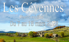 Affiche Lumieres cevenoles 2022 finale