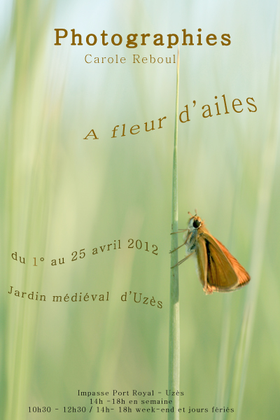 affiche uzes